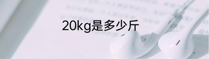 20kg是多少斤