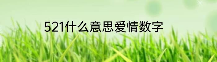 521什么意思爱情数字