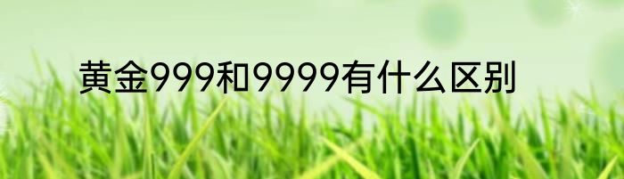黄金999和9999有什么区别