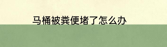 马桶被粪便堵了怎么办