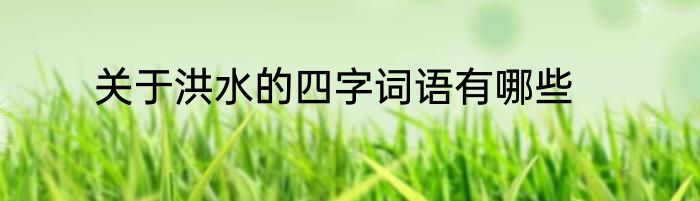 关于洪水的四字词语有哪些