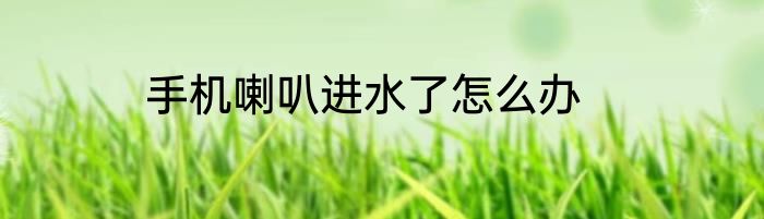 手机喇叭进水了怎么办