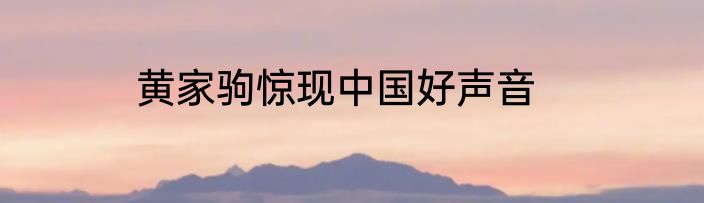 黄家驹惊现中国好声音