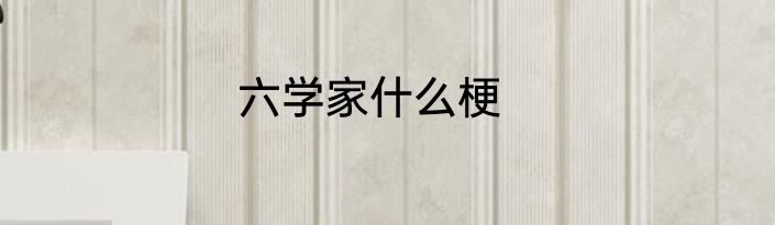 六学家什么梗