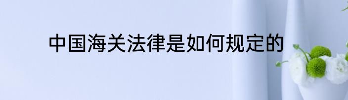 中国海关法律是如何规定的