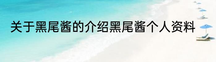 关于黑尾酱的介绍黑尾酱个人资料