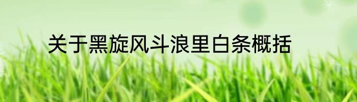 关于黑旋风斗浪里白条概括