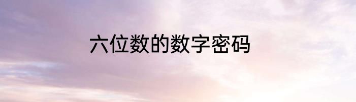 六位数的数字密码