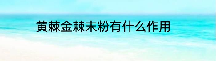 黄棘金棘末粉有什么作用