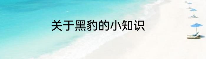 关于黑豹的小知识