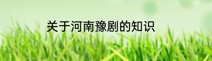 关于河南豫剧的知识