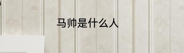 马帅是什么人