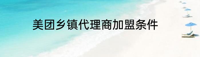 美团乡镇代理商加盟条件