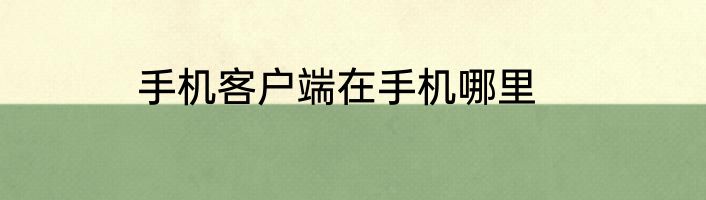 手机客户端在手机哪里