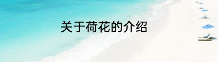 关于荷花的介绍