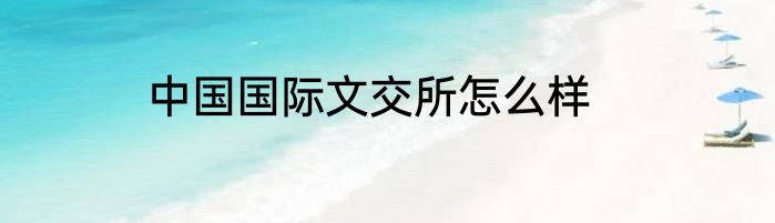 中国国际文交所怎么样