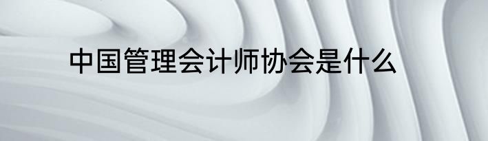 中国管理会计师协会是什么