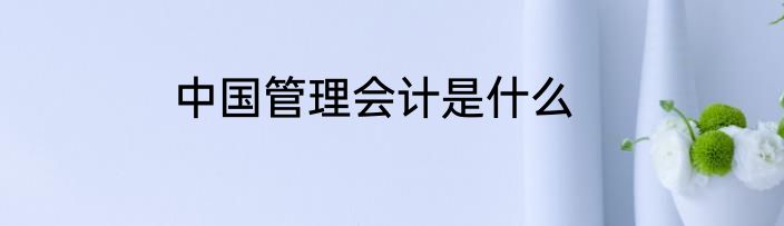 中国管理会计是什么
