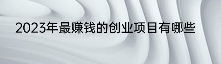 2023年最赚钱的创业项目有哪些