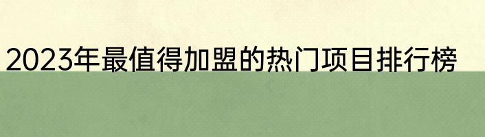 2023年最值得加盟的热门项目排行榜