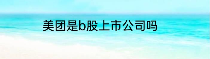 美团是b股上市公司吗