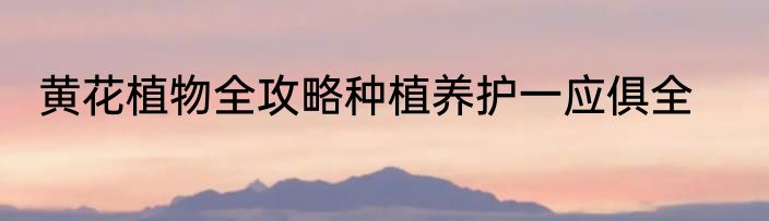 黄花植物全攻略种植养护一应俱全