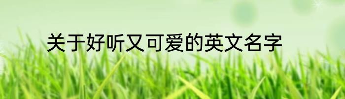 关于好听又可爱的英文名字