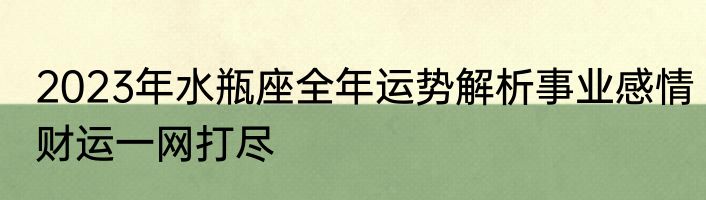 2023年水瓶座全年运势解析事业感情财运一网打尽