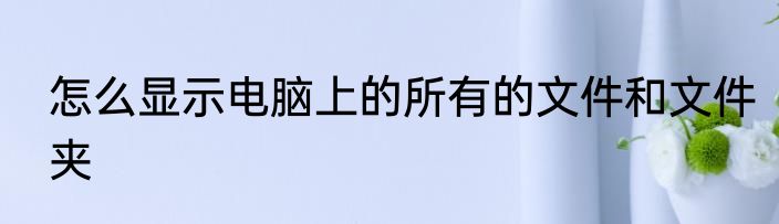 怎么显示电脑上的所有的文件和文件夹