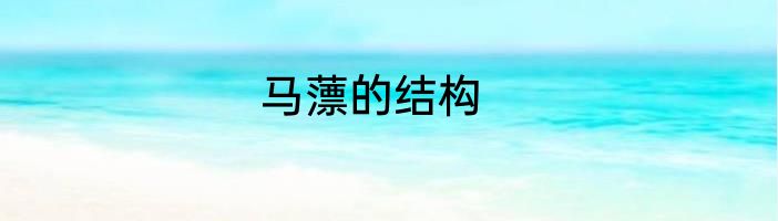 马薸的结构
