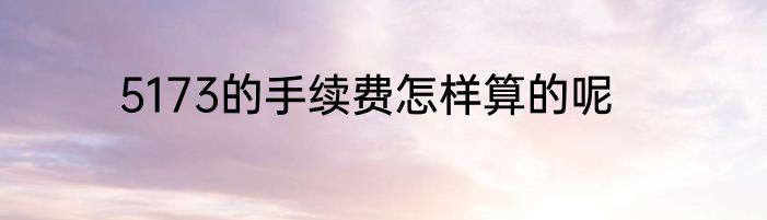 5173的手续费怎样算的呢