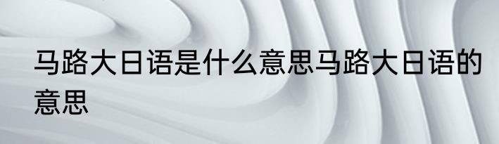 马路大日语是什么意思马路大日语的意思