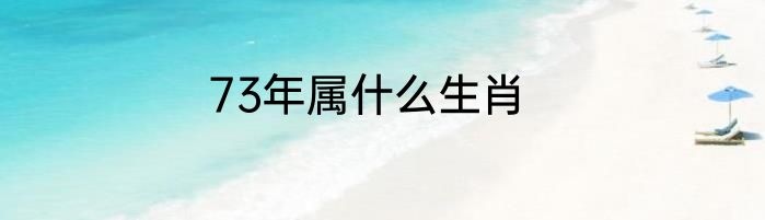 73年属什么生肖