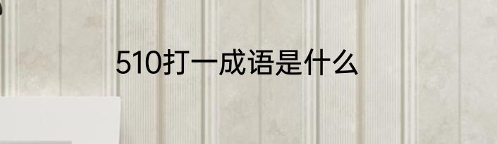 510打一成语是什么