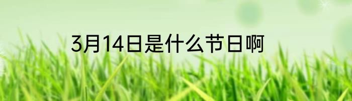 3月14日是什么节日啊