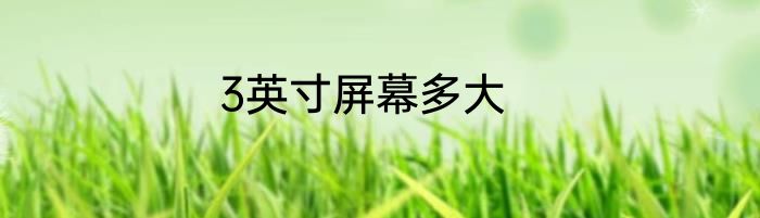 3英寸屏幕多大