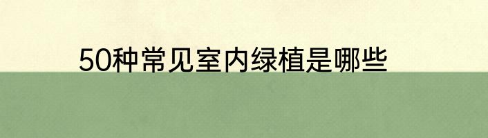 50种常见室内绿植是哪些