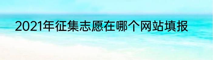 2021年征集志愿在哪个网站填报