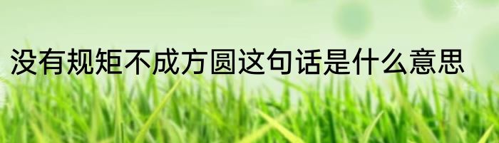 没有规矩不成方圆这句话是什么意思