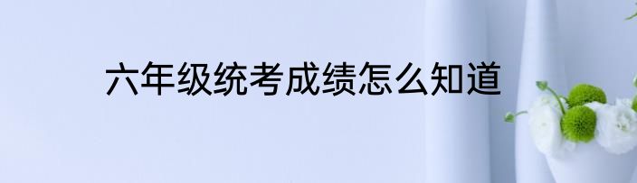 六年级统考成绩怎么知道