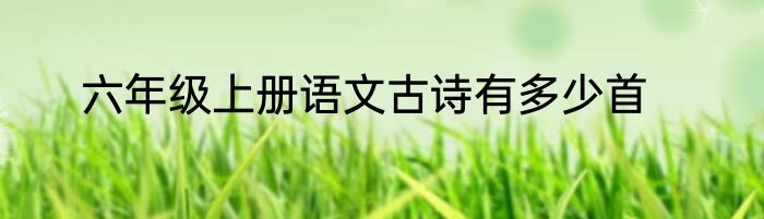 六年级上册语文古诗有多少首
