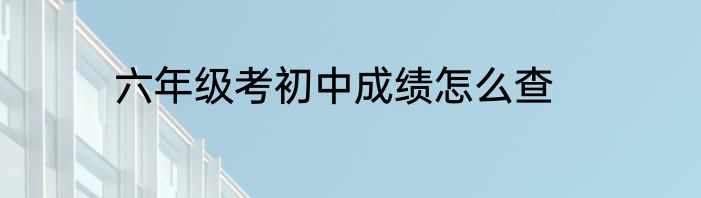 六年级考初中成绩怎么查