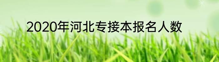 2020年河北专接本报名人数