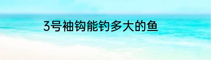 3号袖钩能钓多大的鱼