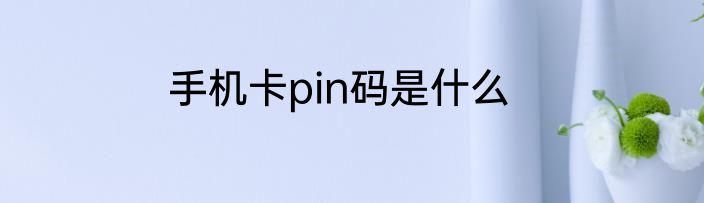 手机卡pin码是什么