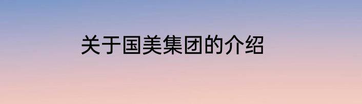 关于国美集团的介绍