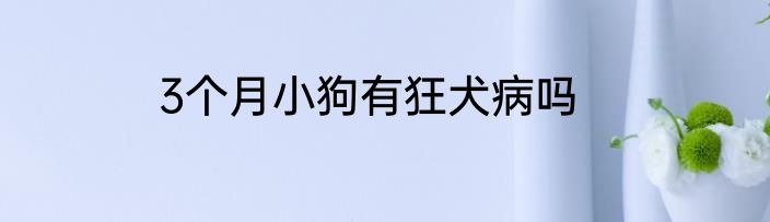 3个月小狗有狂犬病吗