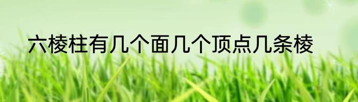 六棱柱有几个面几个顶点几条棱