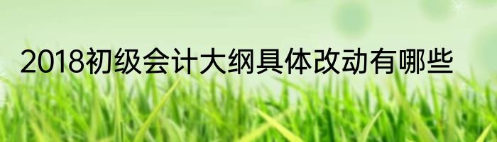 2018初级会计大纲具体改动有哪些