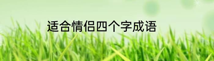 适合情侣四个字成语